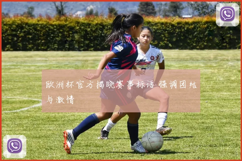 欧洲杯官方揭晓赛事标语 强调团结与激情
