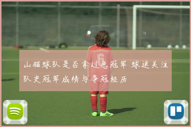 山猫球队是否拿过总冠军 球迷关注队史冠军成绩与争冠经历