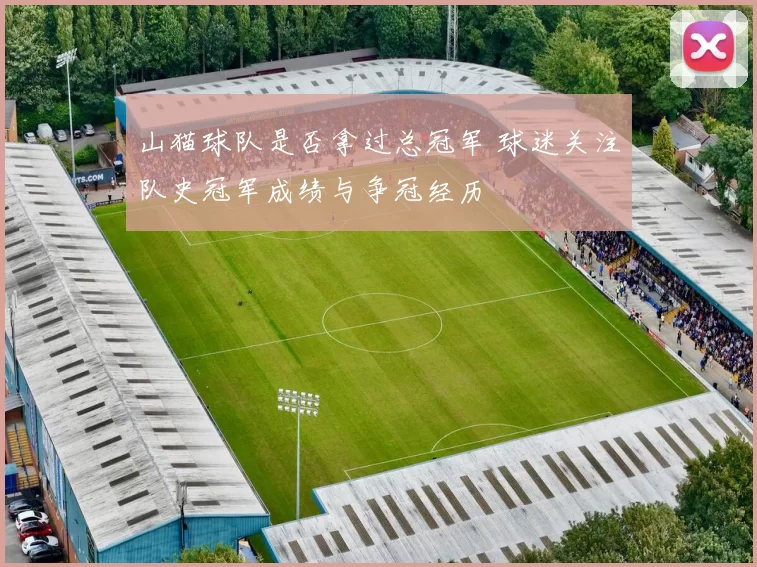 山猫球队是否拿过总冠军 球迷关注队史冠军成绩与争冠经历